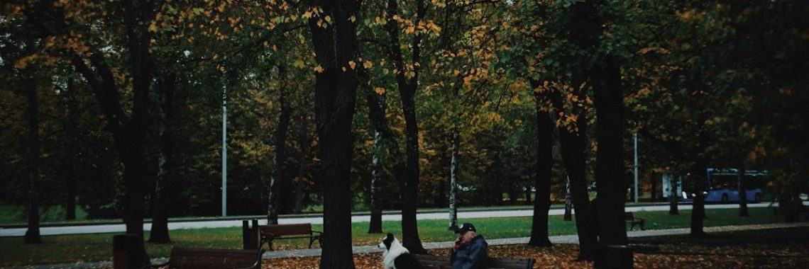 a couple of people sit on a bench in a park